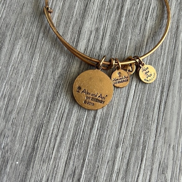 Alex and Ani Army Bangle Gold 2013 - Picture 4 of 7